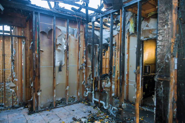 Professional Fire Damage Removal technician working in Southern View, IL
